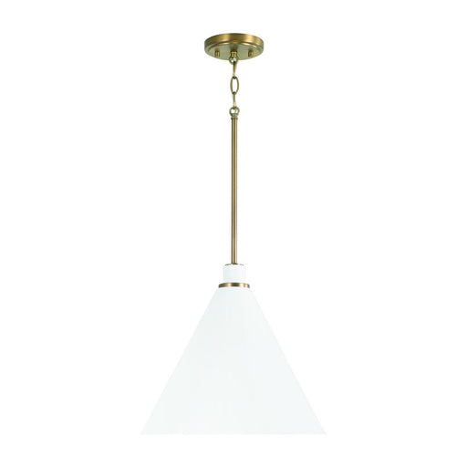 1 Light Pendant | 350112AW
