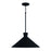 1-light Pendant | 350312XK