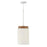 1 Light Pendant | 350911LT