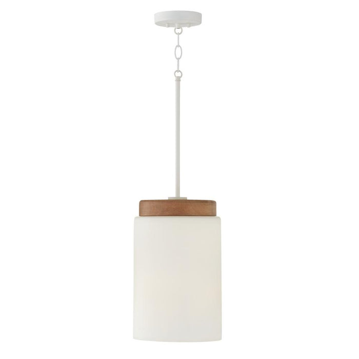 1 Light Pendant | 350911LT