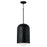 1 Light Pendant | 351612BI