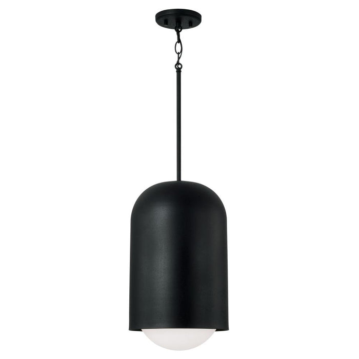 1 Light Pendant | 351612BI