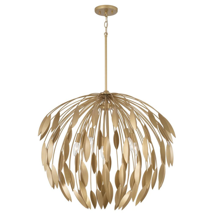 5 Light Pendant | 351851GF