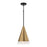 1 Light Pendant | 351911AB