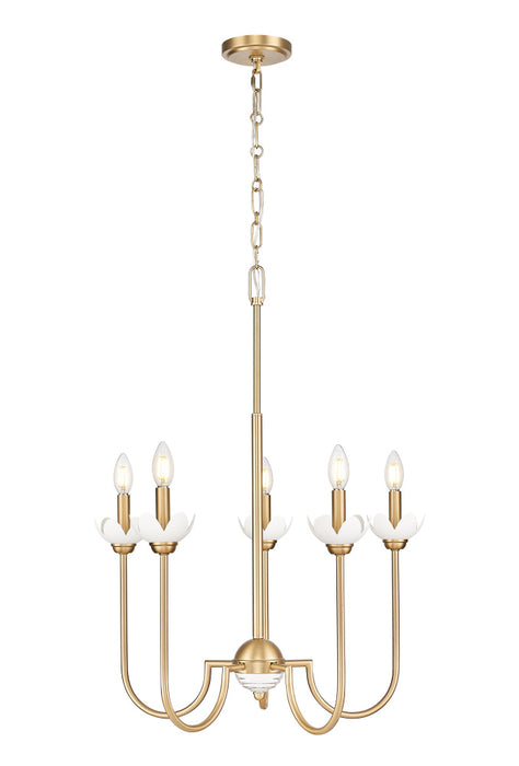 5 Light Chandelier | 352-5MGLD