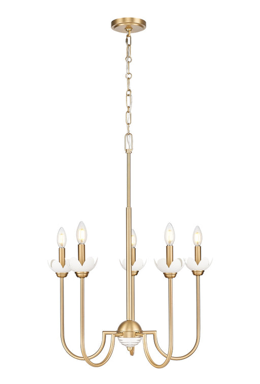 5 Light Chandelier | 352-5MGLD
