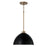 Capital 1-Light Pendant in Aged Brass and Black