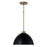 1 Light Pendant | 352011AB