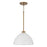 1 Light Pendant | 352011AW