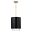 1 Light Pendant | 353011RK