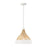 1 Light Pendant | 353911WE