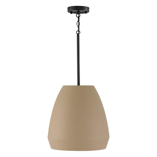 1 Light Pendant | 354211SN