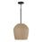 1 Light Pendant | 354212SN