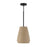 1 Light Pendant | 354213SN