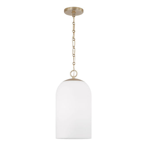 Capital 1-Light Capsule Pendant in Matte Brass with Soft White Glass and Alternating Loop Designer Chain