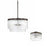 3 Light Pendant | 356231OR