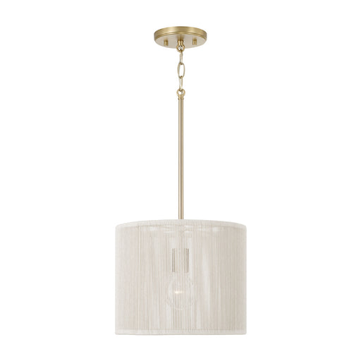 1 Light Pendant | 357912MA