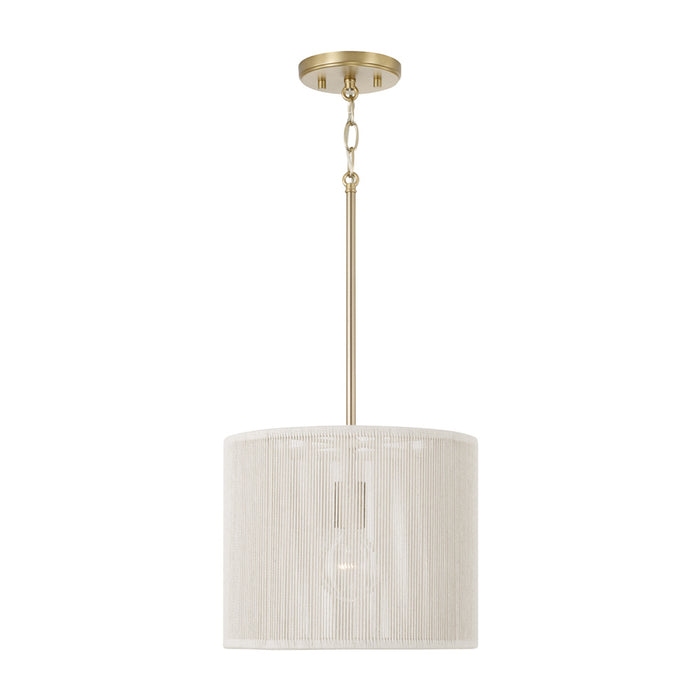 1 Light Pendant | 357912MA