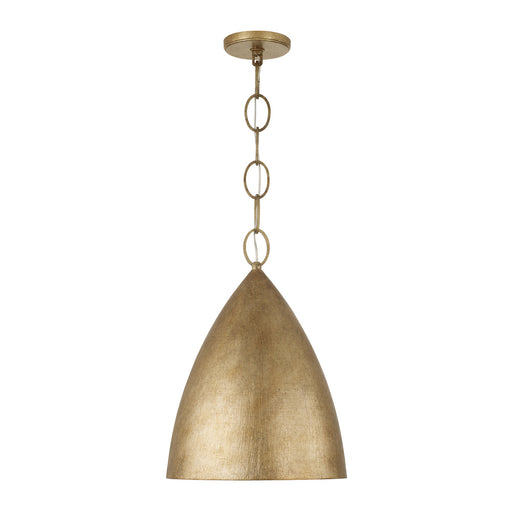 1 Light Pendant | 358511FT
