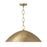 1 Light Pendant | 358512FT