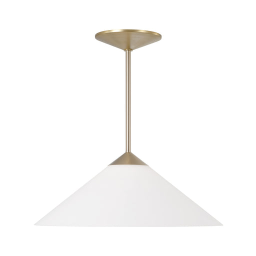 1 Light Pendant | 359111MA