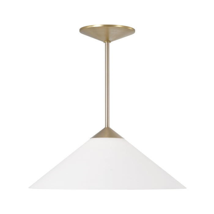 1 Light Pendant | 359111MA