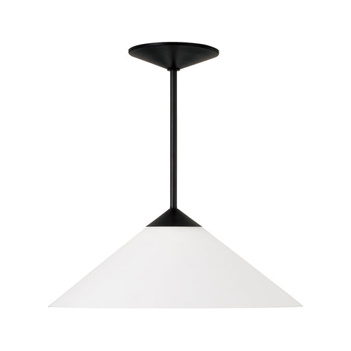 1 Light Pendant | 359111MB