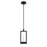 Hanson,  2 Light  Led Pendant, Black | 35948-018