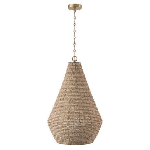1 Light Pendant | 359712LFB