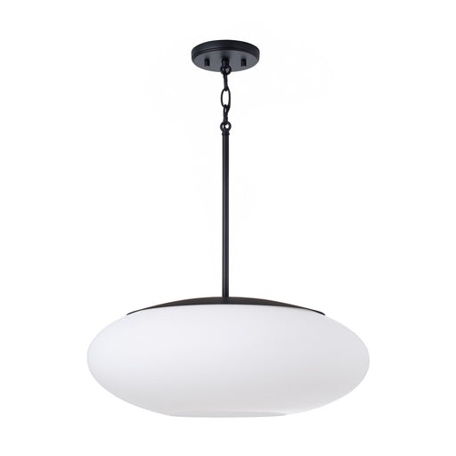 1 Light Pendant | 360511MB