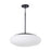 1 Light Pendant | 360511MB
