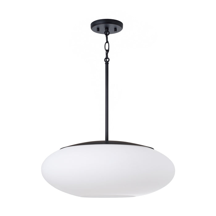 1 Light Pendant | 360511MB