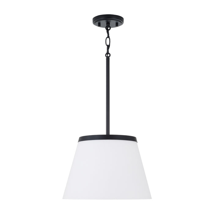 1 Light Pendant | 361011MB