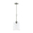 Ilia 1-light Pendant With Clear Glass Shade | P500514-009