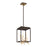 19" Integrated Led Pendant | 38637-018