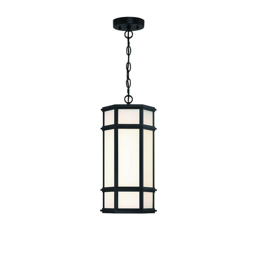 18" Outdoor Led Pendant | 42691-013