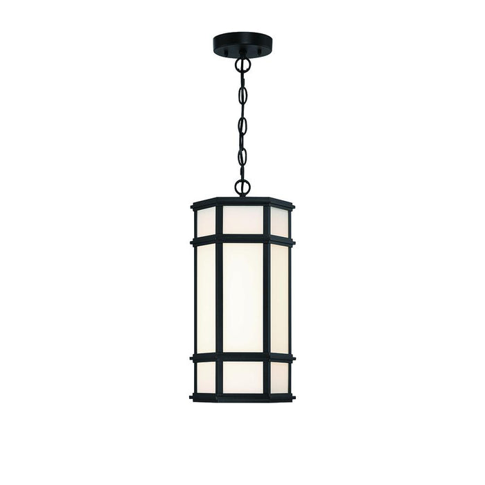 18" Outdoor Led Pendant | 42691-013