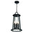 12" 6 Lt Outdoor Pendant | 42722-014
