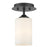 1 Light Flush Mount | 435F1-BRZ