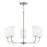 5 Light Chandelier | 448851BN-542