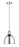 1 Light Pendant | 4500P8-CH