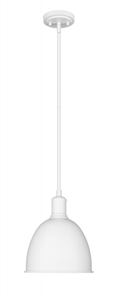 1 Light Pendant | 4500P8-SW