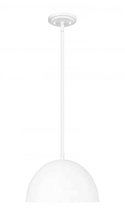 1 Light Pendant | 4501P12-MW