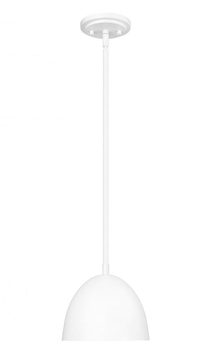 1 Light Pendant | 4501P8-MW