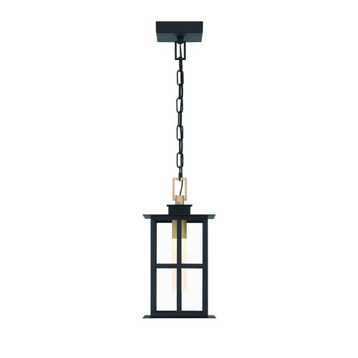 Eurofase Greyson 16" LED Pendant In Brass and Black