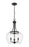 3 Light Pendant | 473P16-MB