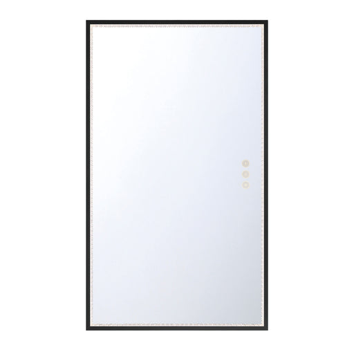 Cerissa 54" Rectangular Mirror In Black | 48097-017