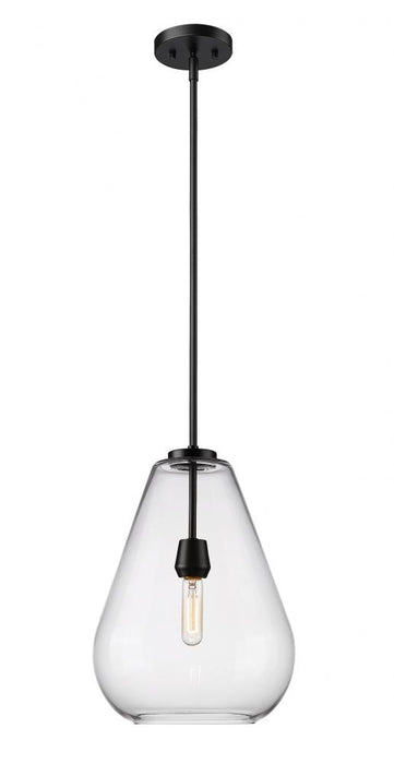 1 Light Pendant | 488P12-MB