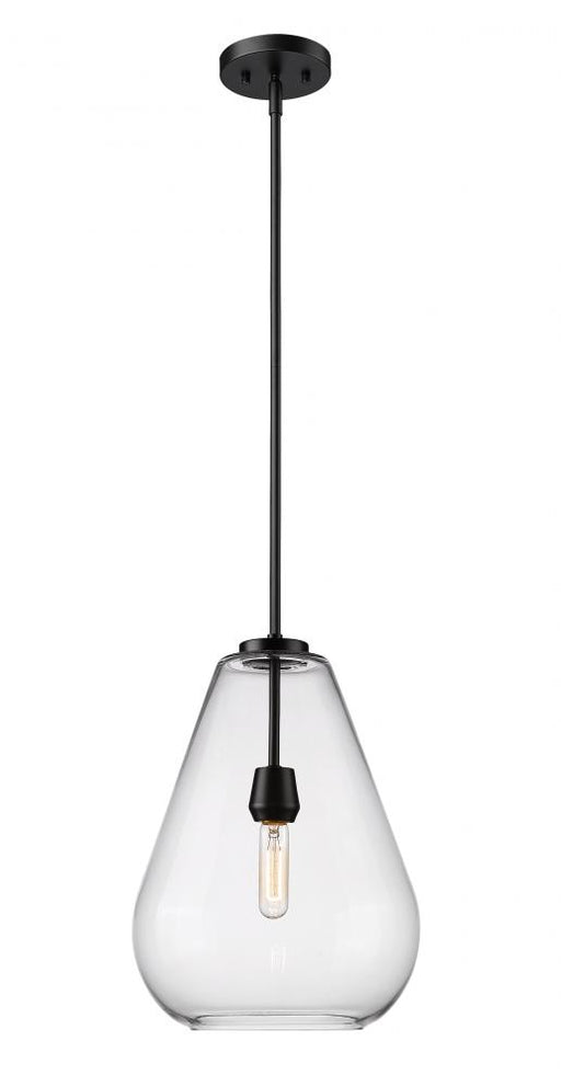 1 Light Pendant | 488P12-MB