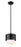 1 Light Pendant | 495P7-MB